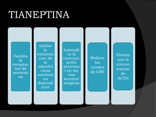 TIANEPTINA

             Inhibe
                la     Intensifi
            estimula      ca la              Dismin
 Facilita                          Reduce
             cion de   comunic                uye la
   la
                la       ación       los     concen
recaptac
            adenilci   neurona     niveles
 ion de                                      tracion
              clasa     l en las   de CRF
serotoni                                        de
            serotoni      vias
   na                                         ACTH
                na     serotoni
            dependi    nergicas
               ente
 