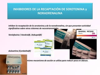   Inhiben la recaptación de la serotonina y de la noradrenalina, sin que presenten actividad significativa sobre otros sistemas de neurotransmisión. Venlafaxina ( Vandral@, Dobupal@)  duloxetina (Cymbalta@) Sibutramina, con el mismo mecanismo de acción se utiliza para reducir peso en obesos. INHIBIDORES DE LA RECAPTACIÓN DE SEROTONINA y NORADRENALINA 
