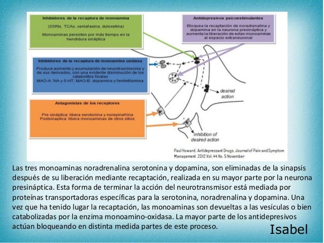 Antidepresivos psicofarmacologia Antidepresivos psicofarmacologia