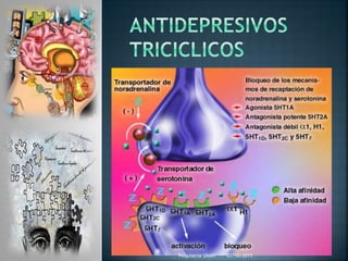 07/10/2015Psiquiatria UNAH
 