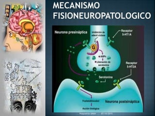 MECANISMO
FISIONEUROPATOLOGICO
07/10/2015Psiquiatria UNAH
 