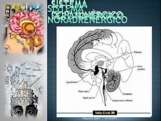 07/10/2015Psiquiatria UNAH
 