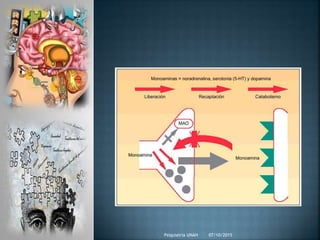 07/10/2015Psiquiatria UNAH
 