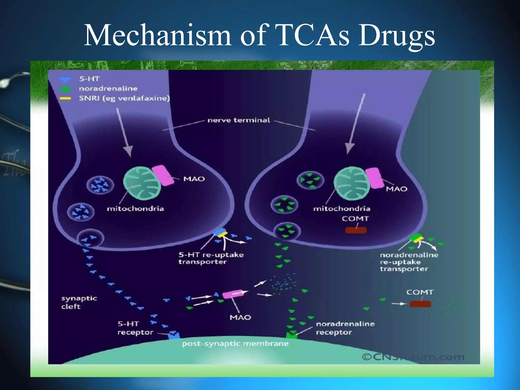 Mechanism of TCAs Drugs
 