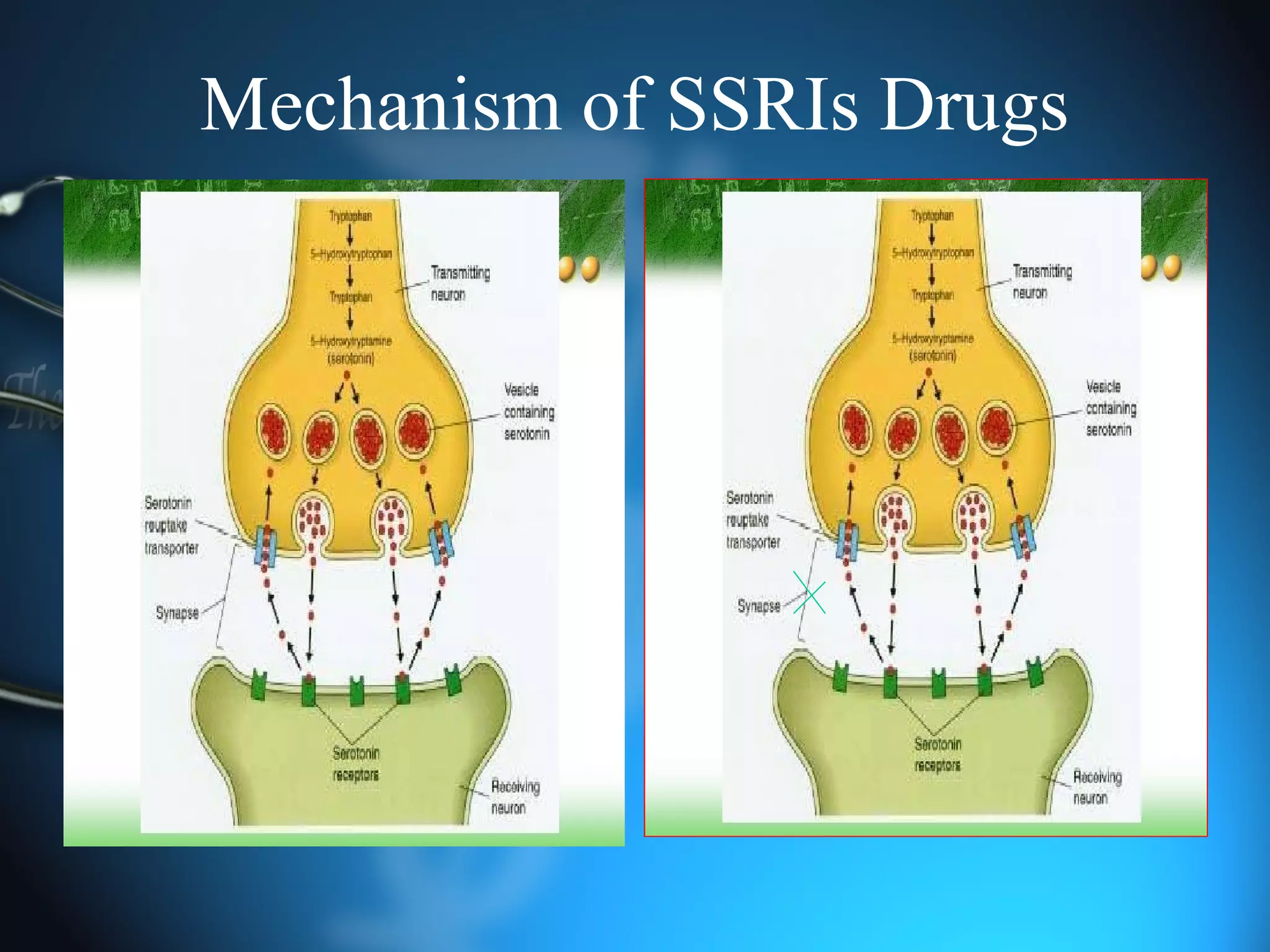 Mechanism of SSRIs Drugs
 