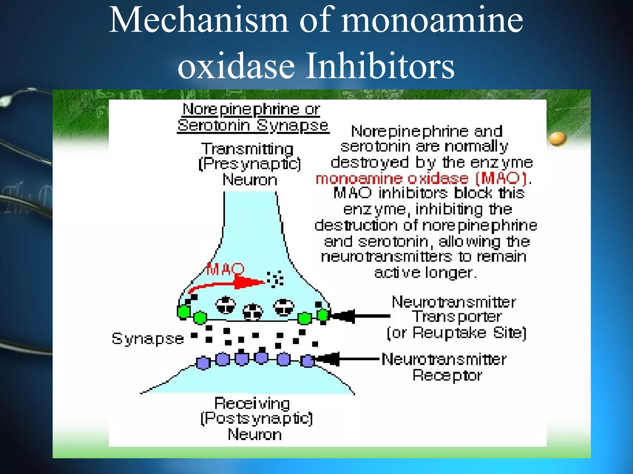Mechanism of monoamine
oxidase Inhibitors
 