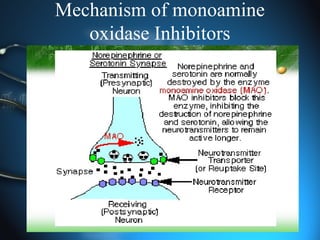 Mechanism of monoamine
oxidase Inhibitors
 