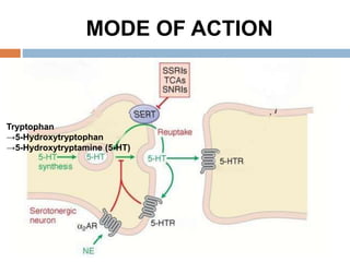 MODE OF ACTION
Tryptophan
→5-Hydroxytryptophan
→5-Hydroxytryptamine (5-HT)
 