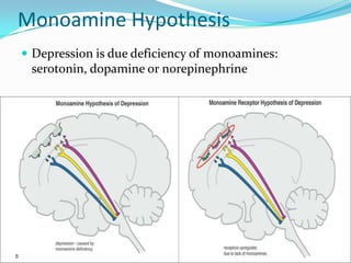 Monoamine Hypothesis
 Depression is due deficiency of monoamines:
 serotonin, dopamine or norepinephrine
 
