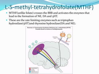 L-5-methyl-tetrahydrofolate(MTHF)
 MTHF(unlike folate) crosses the BBB and activates the enzymes that
  lead to the formation of NE, DA and 5HT.
 These are the rate limiting enzymes such as triptophan
  hydroxilase(5HT)and thyrosine hydroxilase(DA and NE).
 