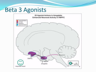 Beta 3 Agonists
 