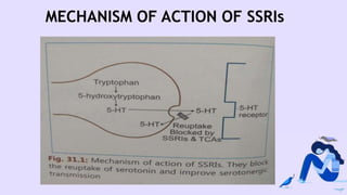 MECHANISM OF ACTION OF SSRIs
 