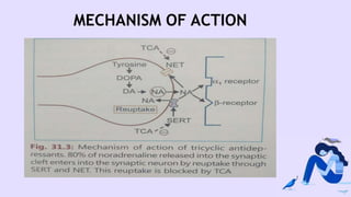 MECHANISM OF ACTION
 