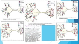 Fazia Ruth
Pfau Medical
College
Department of Pharmacology 12
 