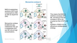 This means that MAO-A
inhibition increases 5HT,
NE, and DA but that the
increase in DA is not
as great as that of 5HT and
NE.
Inhibition of MAO-A is an
efficacious antidepressant
strategy.
Fazia Ruth
Pfau Medical
College
Department of Pharmacology 21
MAO-A metabolizes
serotonin (5HT) and
norepinephrine (NE)
as well as dopamine
(DA).
Monoamine oxidase
B (MAO-B) also
metabolizes DA, but
it metabolizes 5HT
and NE only at high
concentrations.
Monoamine oxidase A
 