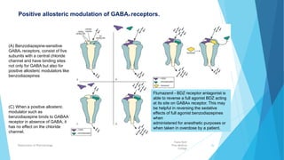 (B) When GABA binds to its sites on
GABAA receptor, it increases
frequency of opening of chloride
channel and thus allows more
chloride to pass through.
(D) When a positive allosteric
modulator such as a benzodiazepine
binds to the GABAA receptor in
presence of GABA, it causes the
channel to open even more frequently
than when GABA alone is present.
Positive allosteric modulation of GABAA receptors.
(A) Benzodiazepine-sensitive
GABAA receptors, consist of five
subunits with a central chloride
channel and have binding sites
not only for GABA but also for
positive allosteric modulators like
benzodiazepines
(C) When a positive allosteric
modulator such as
benzodiazepine binds to GABAA
receptor in absence of GABA, it
has no effect on the chloride
channel.
Flumazenil - BDZ receptor antagonist is
able to reverse a full agonist BDZ acting
at its site on GABAA receptor. This may
be helpful in reversing the sedative
effects of full agonist benzodiazepines
when
administered for anesthetic purposes or
when taken in overdose by a patient.
Fazia Ruth
Pfau Medical
College
Department of Pharmacology 26
 
