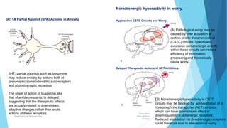 5HT1A partial agonists such as buspirone
may reduce anxiety by actions both at
presynaptic somatodendritic autoreceptors
and at postsynaptic receptors.
The onset of action of buspirone, like
that of antidepressants, is delayed,
suggesting that the therapeutic effects
are actually related to downstream
adaptive changes rather than acute
actions at these receptors.
Noradrenergic hyperactivity in worry.
Delayed Therapeutic Actions of NET Inhibitors
Hyperactive CSTC Circuits and Worry
5HT1A Partial Agonist (SPA) Actions in Anxiety
(B) Noradrenergic hyperactivity in CSTC
circuits may be blocked by administration of a
norepinephrine transporter (NET) inhibitor,
which can have downstream effect of
downregulating β1-adrenergic receptors.
Reduced stimulation via β1-adrenergic receptors
could therefore lead to alleviation of worry
(A) Pathological worry may be
caused by over activation of
cortico-striato-thalamo-cortical
(CSTC) circuits. Specifically,
excessive noradrenergic activity
within these circuits can reduce
efficiency of information
processing and theoretically
cause worry..
Fazia Ruth
Pfau Medical
College
Department of Pharmacology 29
 