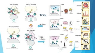 SRI Inserted
NRI Inserted
5HT2A Inserted
5HT2C Inserted
TCA’s
Actions
Side
effects
Fazia Ruth
Pfau Medical
College
Department of Pharmacology 34
 