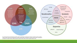 https://doi.org/10.1016/j.ejphar.2014.11.045
Fig. 1. Monoaminergic drugs blocking the serotonin, and/or norepinephrine and dopamine transporters. Selective serotonin reuptake
inhibitors (SSRIs), serotonin and norepinephrine reuptake inhibitors (SNRIs), norepinephrine reuptake inhibitors (NRIs), norepinephrine
and dopamine reuptake inhibitors (NDRIs), dopamine reuptake inhibitor (DRI), and triple reuptake inhibitors (TRIs)
 