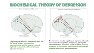 The monoamine hypothesis of depression posits that if
the “normal” amount of monoamine
neurotransmitter activity becomes reduced,
depleted, or dysfunctional for some reason,
depression may ensue.
The monoamine receptor hypothesis of depression extends the
classic monoamine hypothesis of depression, positing that
deficient activity of monoamine neurotransmitters causes up
regulation of postsynaptic monoamine neurotransmitter
receptors, and that this leads to depression.
 