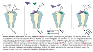 Positive allosteric modulation of GABAA receptors. (A) Benzodiazepine-sensitive GABAA receptors, like the one shown here,
consist of five subunits with a central chloride channel and have binding sites not only for GABA but also for positive allosteric
modulators (e.g., benzodiazepines). (B) When GABA binds to its sites on the GABAA receptor, it increases the frequency of
opening of the chloride channel and thus allows more chloride to pass through. (C) When a positive allosteric modulator such
as a benzodiazepine binds to the GABAA receptor in the absence of GABA, it has no effect on the chloride channel. (D) When a
positive allosteric modulator such as a benzodiazepine binds to the GABAA receptor in the presence of GABA, it causes the
channel to open even more frequently than when GABA alone is present.
 