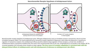 Neurotransmitter receptor hypothesis of antidepressant action. Although antidepressants cause an immediate increase in monoamines, they do not have
immediate therapeutic effects. This may be explained by the monoamine receptor hypothesis of depression, which states that depression is caused by up
regulation of monoamine receptors; thus antidepressant efficacy would be related to down regulation of those receptors, as shown here. (A) When an
antidepressant blocks a monoamine reuptake pump, this causes more neurotransmitter (NT) (in this case, norepinephrine) to accumulate in the synapse. (B) The
increased availability of NT ultimately causes receptors to down regulate. The time course of receptor adaptation is consistent both with the
delayed clinical effects of antidepressants and with development of tolerance to antidepressant side effects.
 