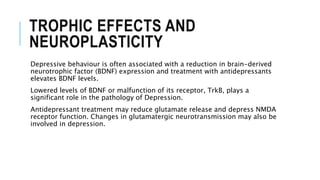 TROPHIC EFFECTS AND
NEUROPLASTICITY
Depressive behaviour is often associated with a reduction in brain-derived
neurotrophic factor (BDNF) expression and treatment with antidepressants
elevates BDNF levels.
Lowered levels of BDNF or malfunction of its receptor, TrkB, plays a
significant role in the pathology of Depression.
Antidepressant treatment may reduce glutamate release and depress NMDA
receptor function. Changes in glutamatergic neurotransmission may also be
involved in depression.
 
