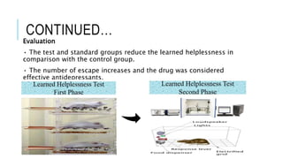 CONTINUED…
Evaluation
• The test and standard groups reduce the learned helplessness in
comparison with the control group.
• The number of escape increases and the drug was considered
effective antidepressants.
 
