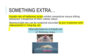 SOMETHING EXTRA…
Female rats of Holtzman strain exhibit compulsive mouse killing
behaviour irrespective of their satiety status.
Nonmuricidal rats can be rendered muricidal by pre-treatment with
pilocarpine(2.5-5mg/kg, ip).
 