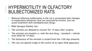 HYPERMOTILITY IN OLFACTORY
BULBECTOMIZED RATS
1. Bilateral olfactory bulbectomy in the rat is associated with changes
in exploratory behaviour that are reversed by chronic, but not
acute treatment with antidepressant drugs.
2. Male Sprague Dawley rats.
3. The animals are allowed to recover for 14 days after surgery.
4. The animals are treated s.c. with the test drug / standard / vehicle
once daily for 14 days.
5. The behaviour of the animals is tested from the 12th day onwards.
6. The rats are placed singly in the centre of an open field apparatus
 