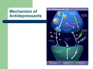 Mechanism of
Antidepressants
 