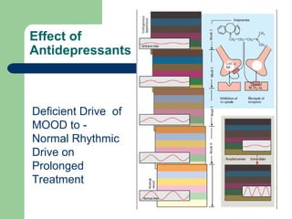 Effect of
Antidepressants
Deficient Drive of
MOOD to -
Normal Rhythmic
Drive on
Prolonged
Treatment
 