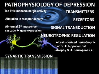 Comprehensive Overview of Depression: Pathophysiology and ...