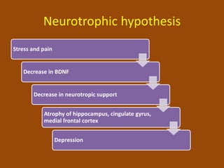 Neurotrophic hypothesis
Stress and pain
Decrease in BDNF
Decrease in neurotropic support
Atrophy of hippocampus, cingulate gyrus,
medial frontal cortex
Depression
 