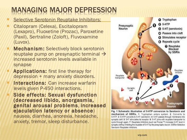 can lexapro cause serotonin syndrome