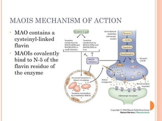 MAOIS MECHANISM OF ACTION
• MAO contains a
cysteinyl-linked
flavin
• MAOIs covalently
bind to N-5 of the
flavin residue of
the enzyme
 
