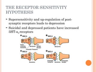 THE RECEPTOR SENSITIVITY
HYPOTHESIS
Supersensitivity and up-regulation of post-
synaptic receptors leads to depression
Suicidal and depressed patients have increased
5HT-α2 receptors
 