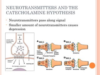 NEUROTRANSMITTERS AND THE
CATECHOLAMINE HYPOTHESIS
• Neurotransmitters pass along signal
• Smaller amount of neurotransmitters causes
depression
 