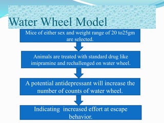 Water Wheel Model
Mice of either sex and weight range of 20 to25gm
are selected.
Animals are treated with standard drug like
imipramine and rechallenged on water wheel.
A potential antidepressant will increase the
number of counts of water wheel.
Indicating increased effort at escape
behavior.
 