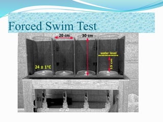 Forced Swim Test
 
