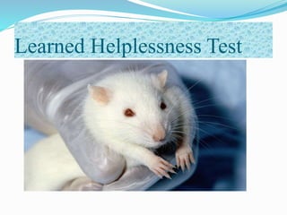 Learned Helplessness Test
 