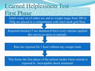 Learned Helplessness Test
First Phase
Adult wister rat of either sex and in weight range from 200 to
250g are placed in a compartment with steel mesh grid floor.
This forms the first phase of the animal model where animal is
exposed to `inescapable shock treatment`
Repeated shocks(15 sec duration,0.8mA every min)are applied
this serves as stress to animals.
Rats are exposed for 1 hour without any escape route
 