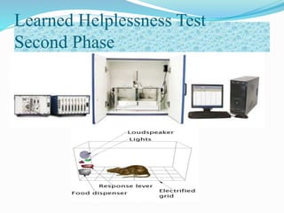 Learned Helplessness Test
Second Phase
 