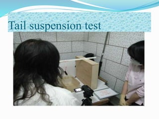Tail suspension test
 