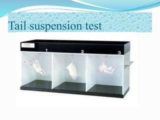 Tail suspension test
 