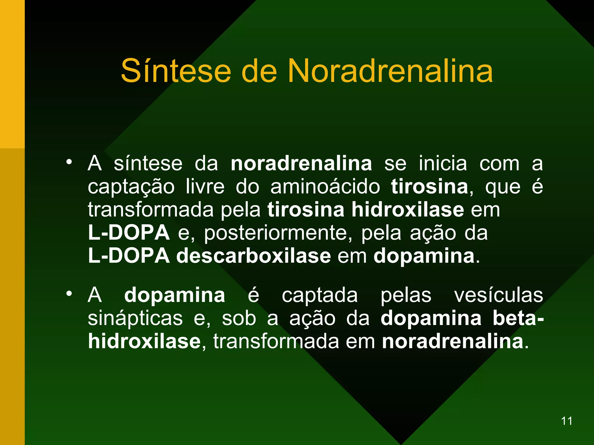 Síntese de Noradrenalina A síntese da  noradrenalina  se inicia com a captação livre do aminoácido  tirosina , que é transformada pela  tirosina hidroxilase  em  L-DOPA  e, posteriormente, pela ação da  L-DOPA descarboxilase  em  dopamina .  A  dopamina  é captada pelas vesículas sinápticas e, sob a ação da  dopamina beta-hidroxilase , transformada em  noradrenalina . 