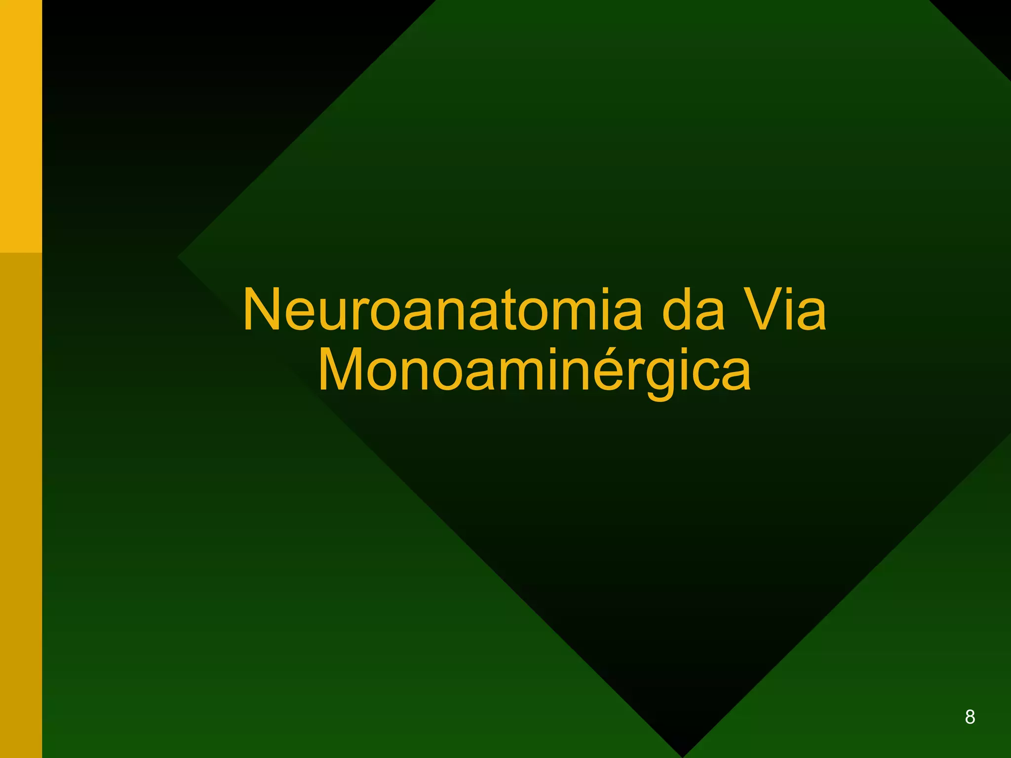 Neuroanatomia da Via Monoaminérgica 