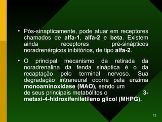 Pós-sinapticamente, pode atuar em receptores chamados de  alfa-1 ,  alfa-2  e  beta . Existem ainda receptores pré-sinápticos noradrenérgicos inibitórios, de tipo  alfa-2 . O principal mecanismo da retirada da noradrenalina da fenda sináptica é o da recaptação pelo terminal nervoso. Sua degradação intraneural ocorre pela enzima  monoaminoxidase   (MAO),  sendo um  de seus principais metabólitos o  3-metaxi-4-hidroxifeniletileno glicol (MHPG). 