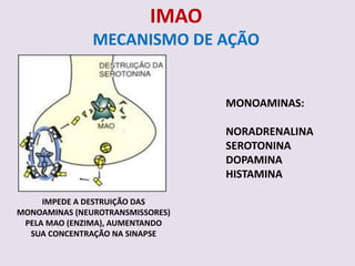 IMAO
               MECANISMO DE AÇÃO


                                  MONOAMINAS:

                                  NORADRENALINA
                                  SEROTONINA
                                  DOPAMINA
                                  HISTAMINA

     IMPEDE A DESTRUIÇÃO DAS
MONOAMINAS (NEUROTRANSMISSORES)
 PELA MAO (ENZIMA), AUMENTANDO
  SUA CONCENTRAÇÃO NA SINAPSE
 