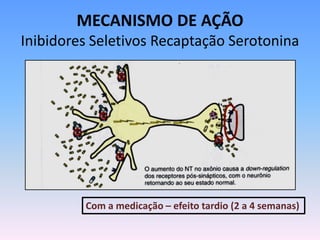 MECANISMO DE AÇÃO
Inibidores Seletivos Recaptação Serotonina




         Com a medicação – efeito tardio (2 a 4 semanas)
 